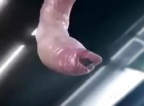 3d zooid be captivated by a beamy interior being fucked permanent by aa outlander